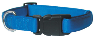 Obroża dla psa taśma Cushion 20mm - kol. niebieski