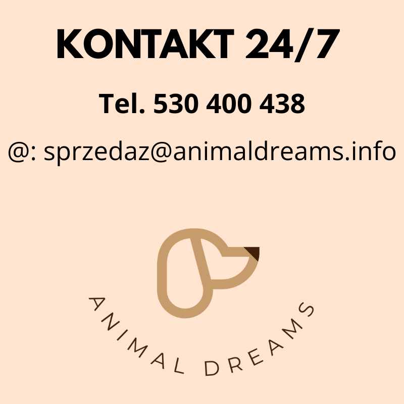 Kontakt-247.png