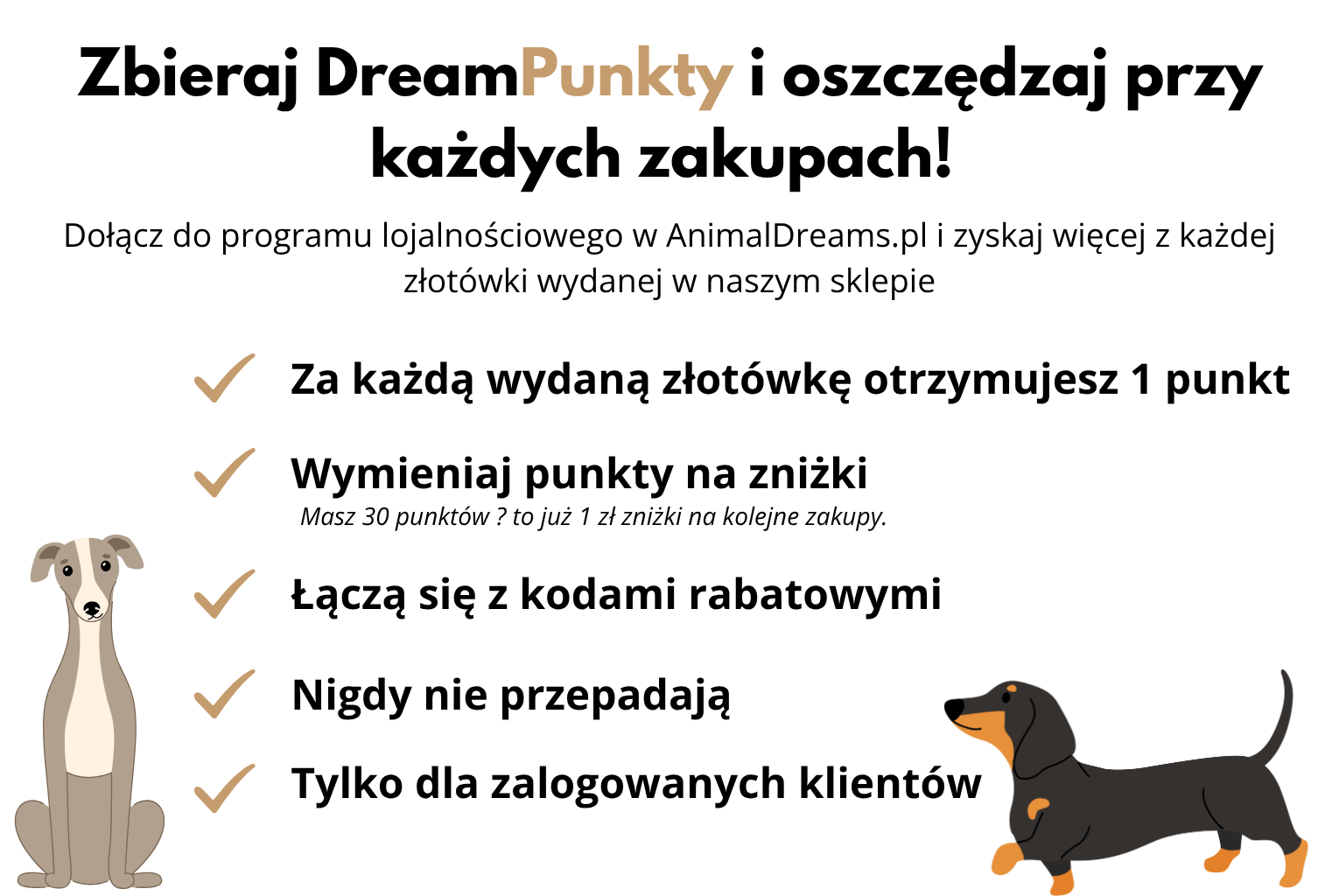 Kopia-Zbieraj-DreamPunkty-i-oszczedzaj-przy-kazdych-zakupach-.png